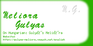 meliora gulyas business card